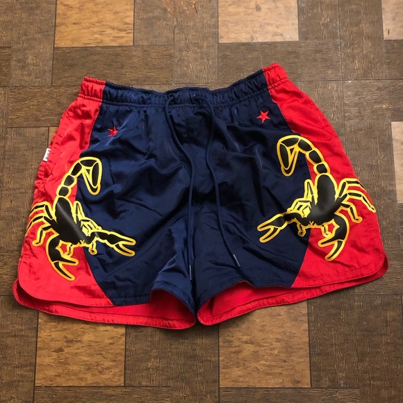 nike dunk shorts